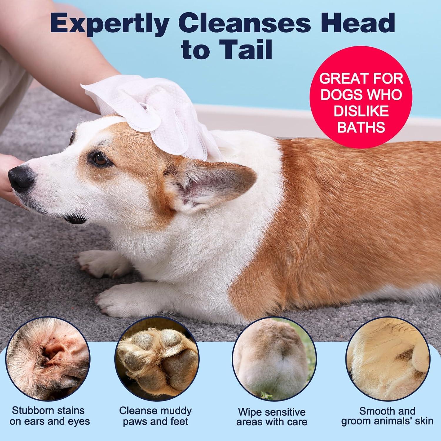 Guantes de Limpieza para Perros UNIPUP - 15 Unidades Aroma Coco