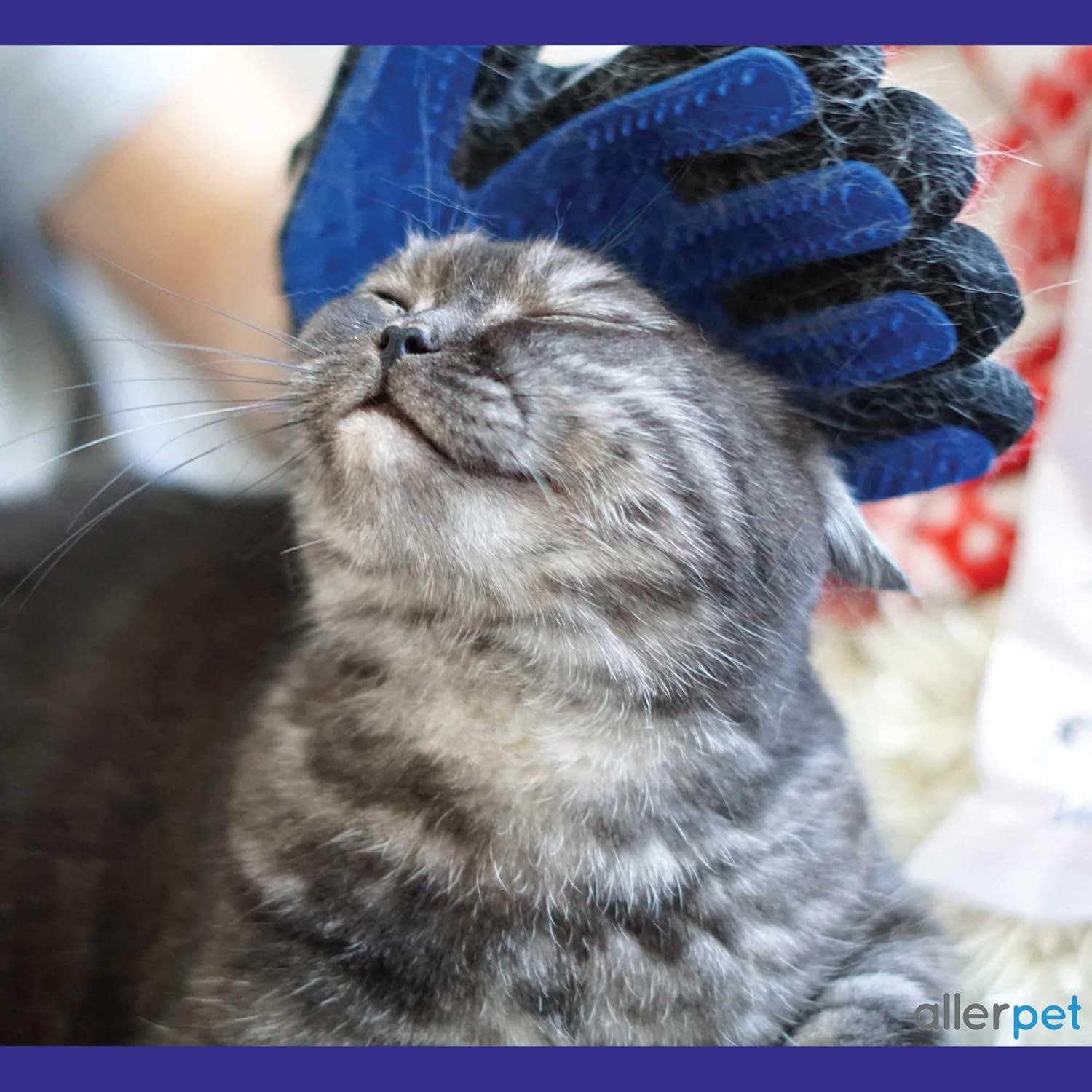 Removedor de Dander de Gato Allerpet 340g con Guantes Gratis