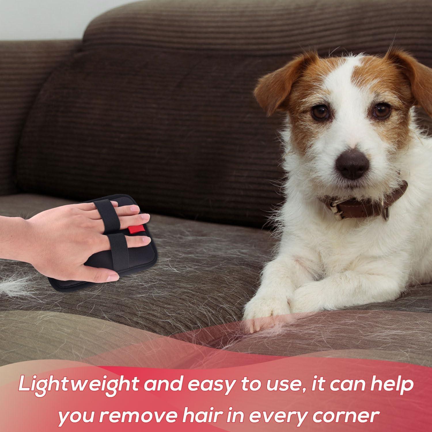 Guante de Aseo para Mascotas Lasuroa F30017 17x13cm