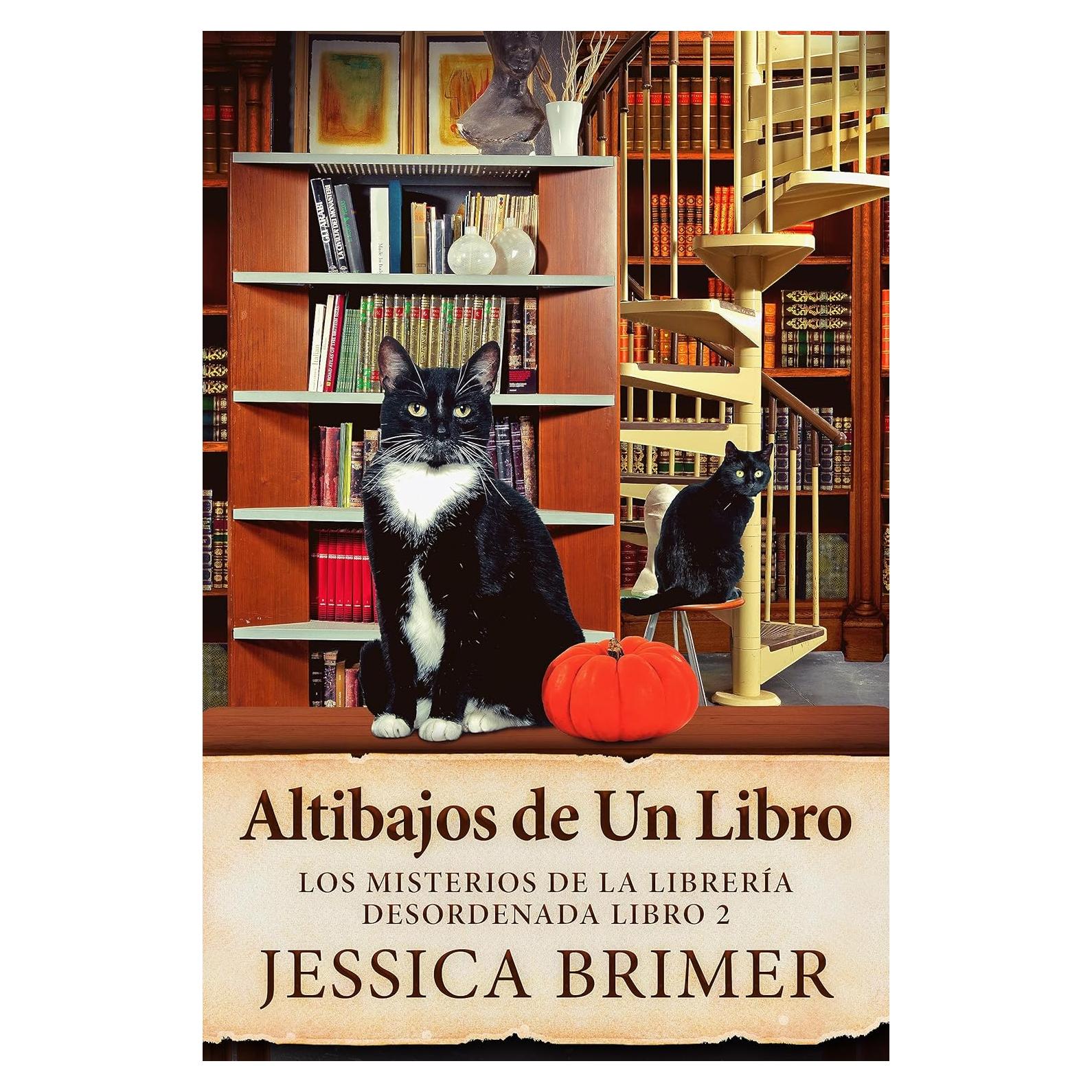 Altibajos de Un Libro - Next Chapter - 318 Páginas