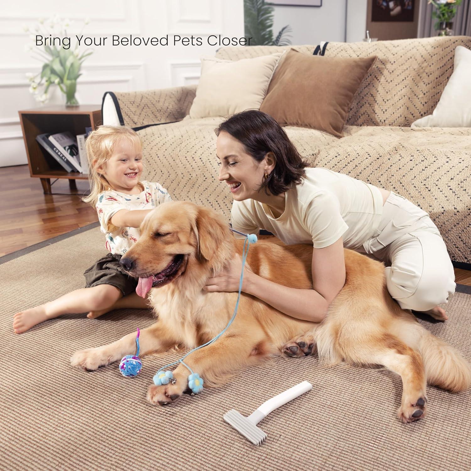 Cepillo de Capa dancemoon para Eliminación de Pelo de Mascotas