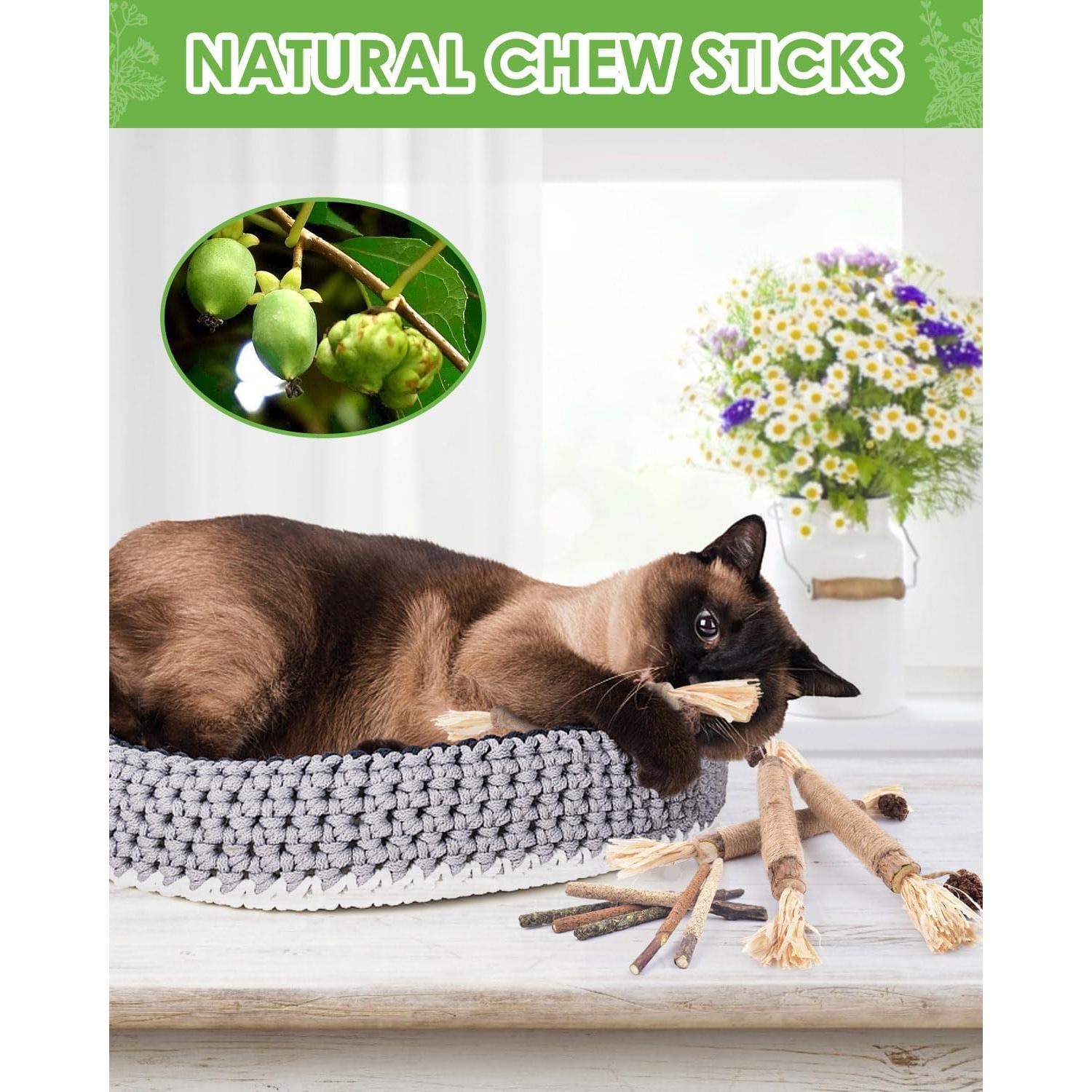 Palitos de Masticar Silvervine TINDTOP - Paquete de 10 para Gatos