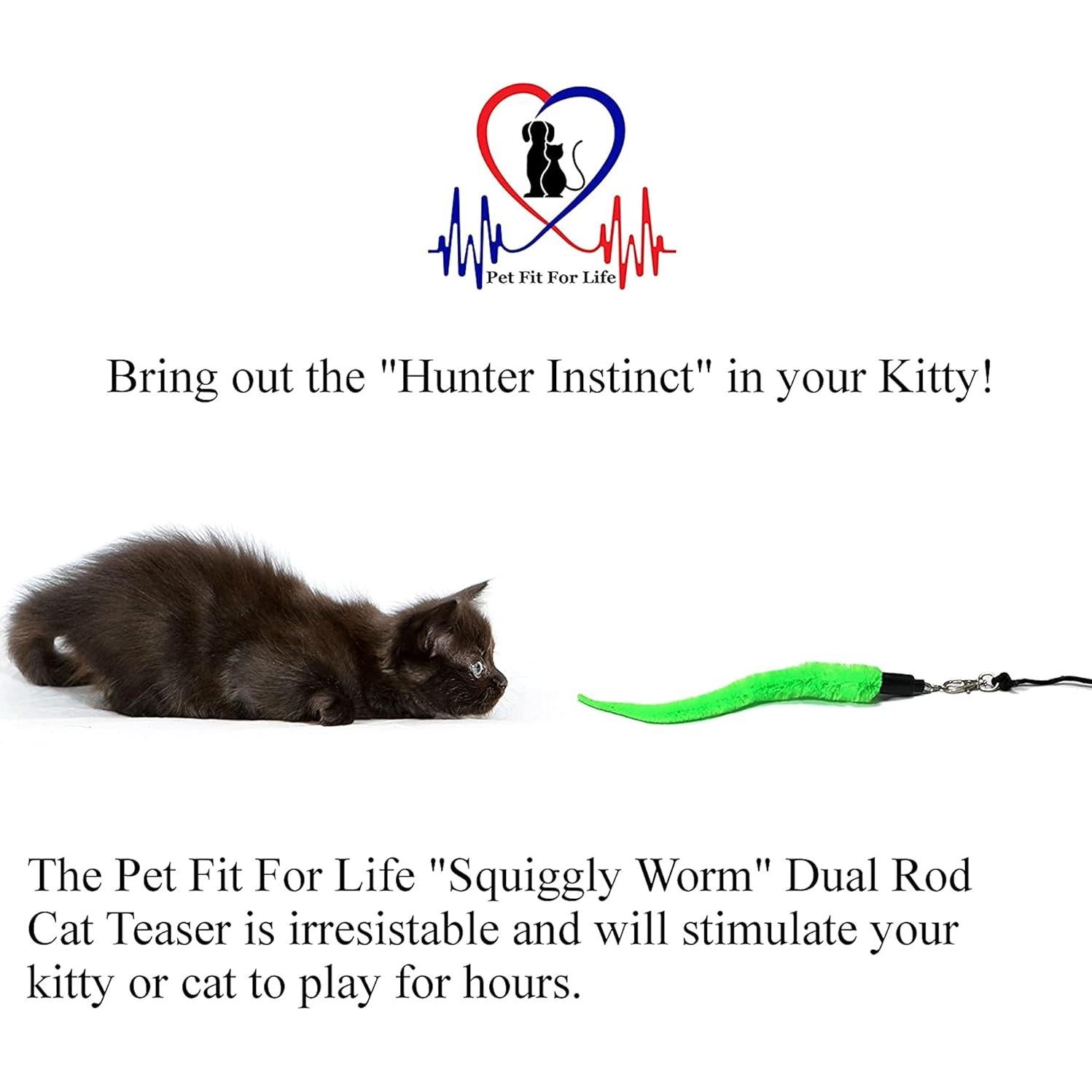 Juguete Interactivo para Gatos Pet Fit For Life - Varita + 5 Gusanos