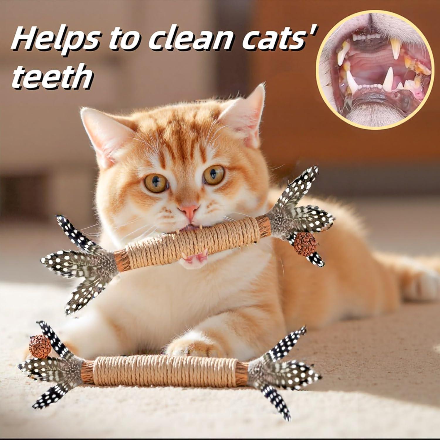 Juguetes para Gatos GREMBEB 7 en 1 con Plumas y Catnip