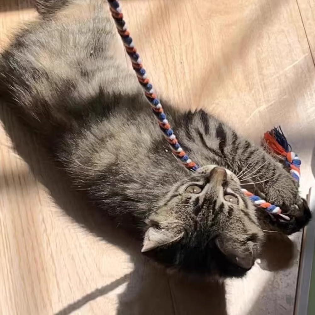 Varitas para Gatos IUHKBH 4 Pcs Juguetes Interactivos Coloridos