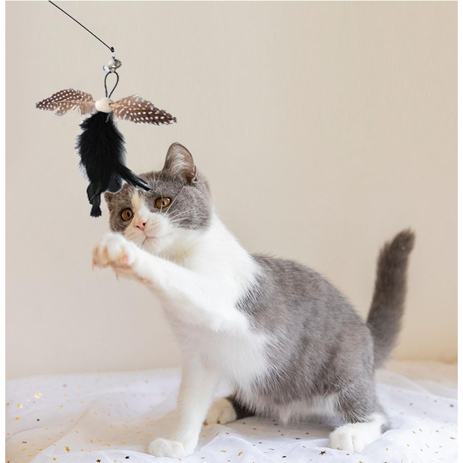 Juguetes Interactivos para Gatos Yauende - 2 Alambres y 5 Plumas