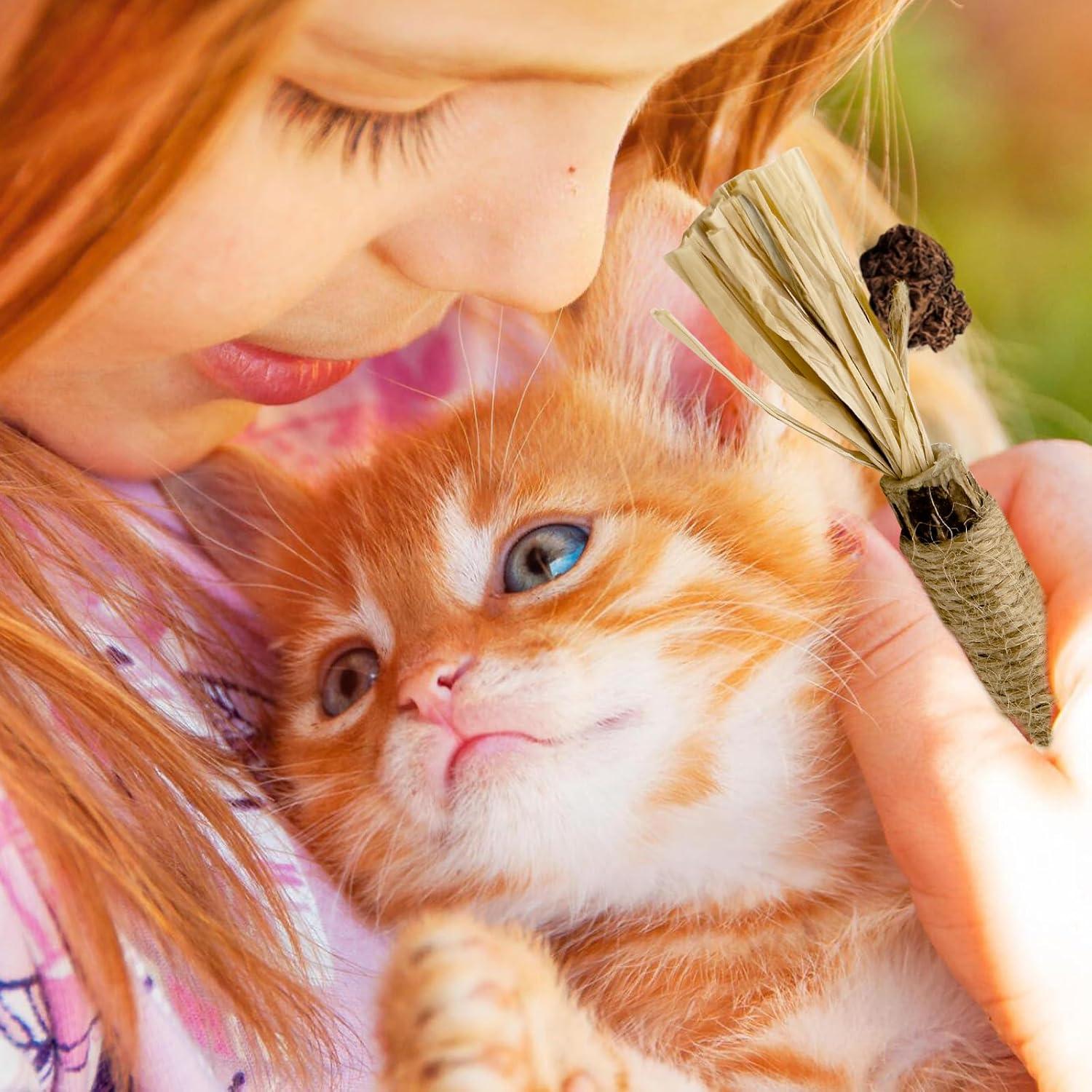 Paquete de 3 Palos de Silvervine YWAOOH para Gatos 100% Natural