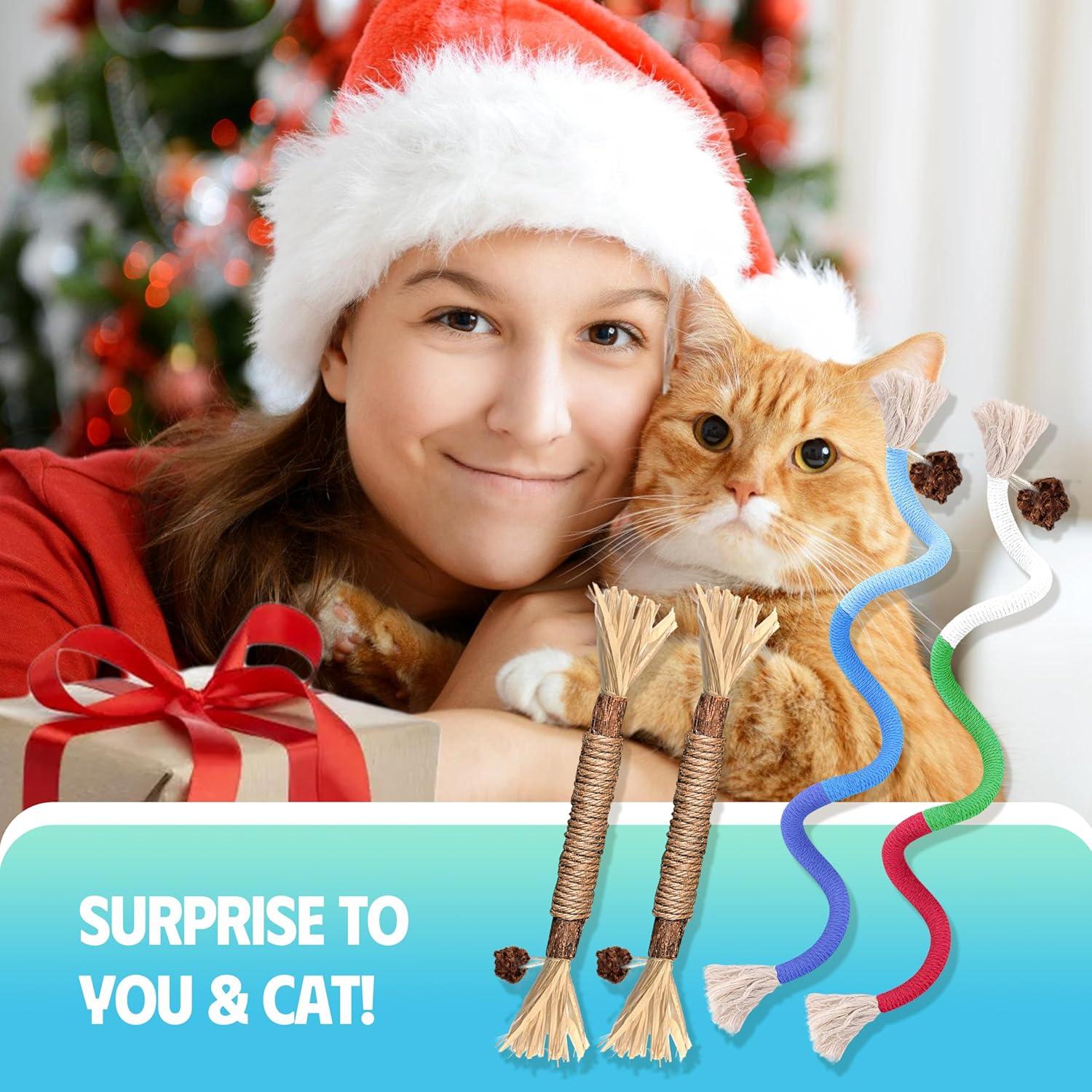 Juguetes para Gatos GBSYU - 4 Piezas Catnip y Silvervine