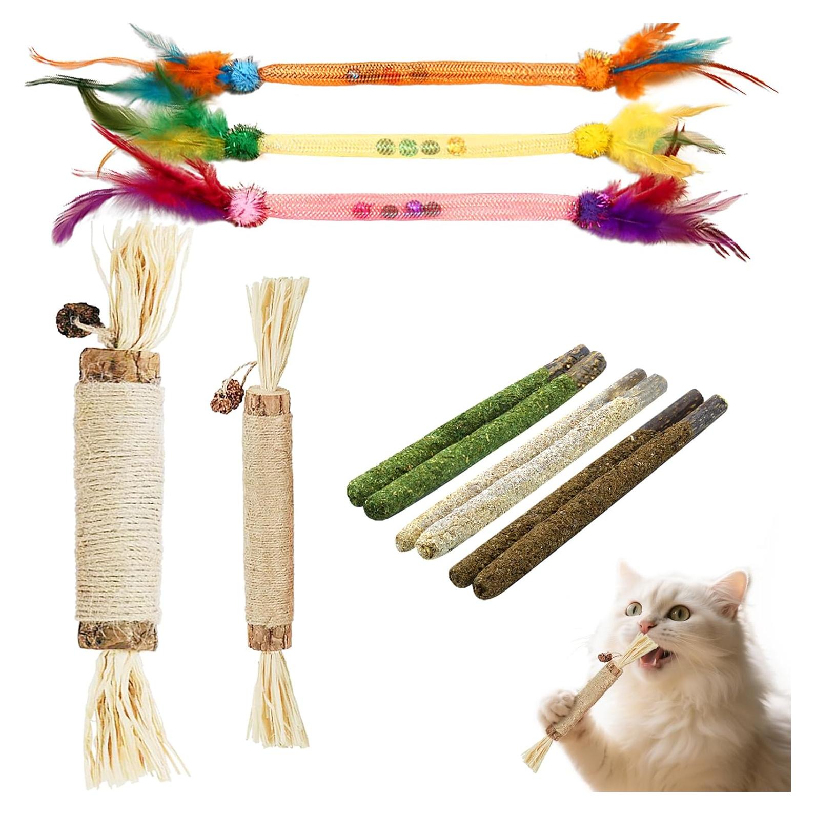 Kit de Juguetes para Gatos ZENGABIA - 11 Piezas Catnip y Silvervine