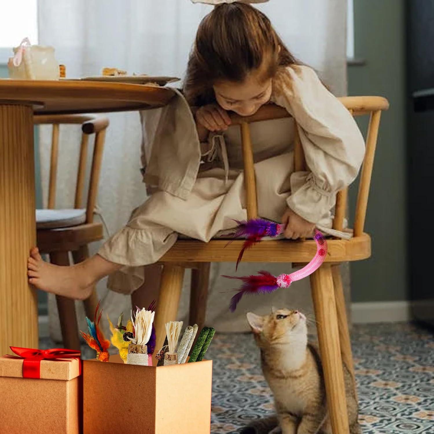 Kit de Juguetes para Gatos ZENGABIA - 11 Piezas Catnip y Silvervine