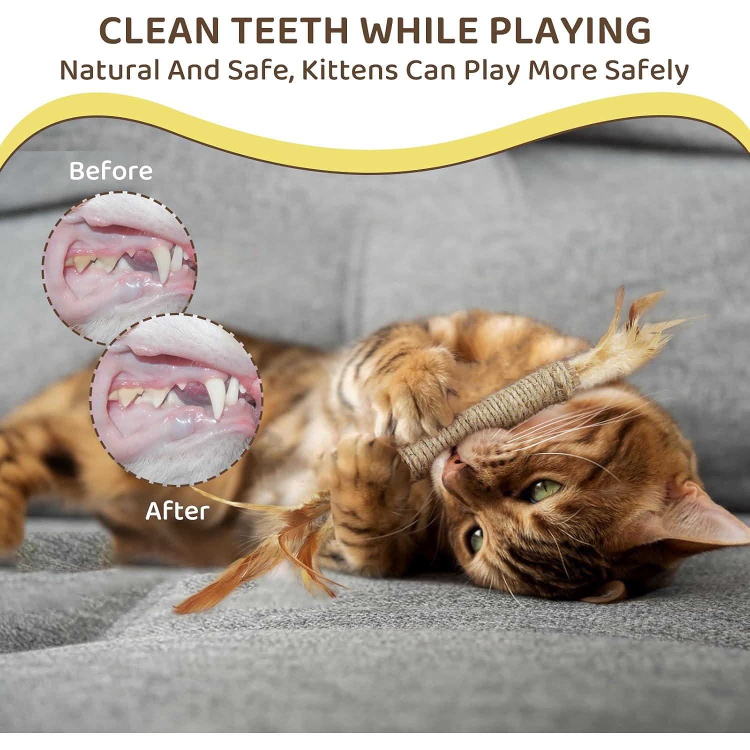 Juguetes para Gatos Bobopal - Palos de Silvervine y Loofah