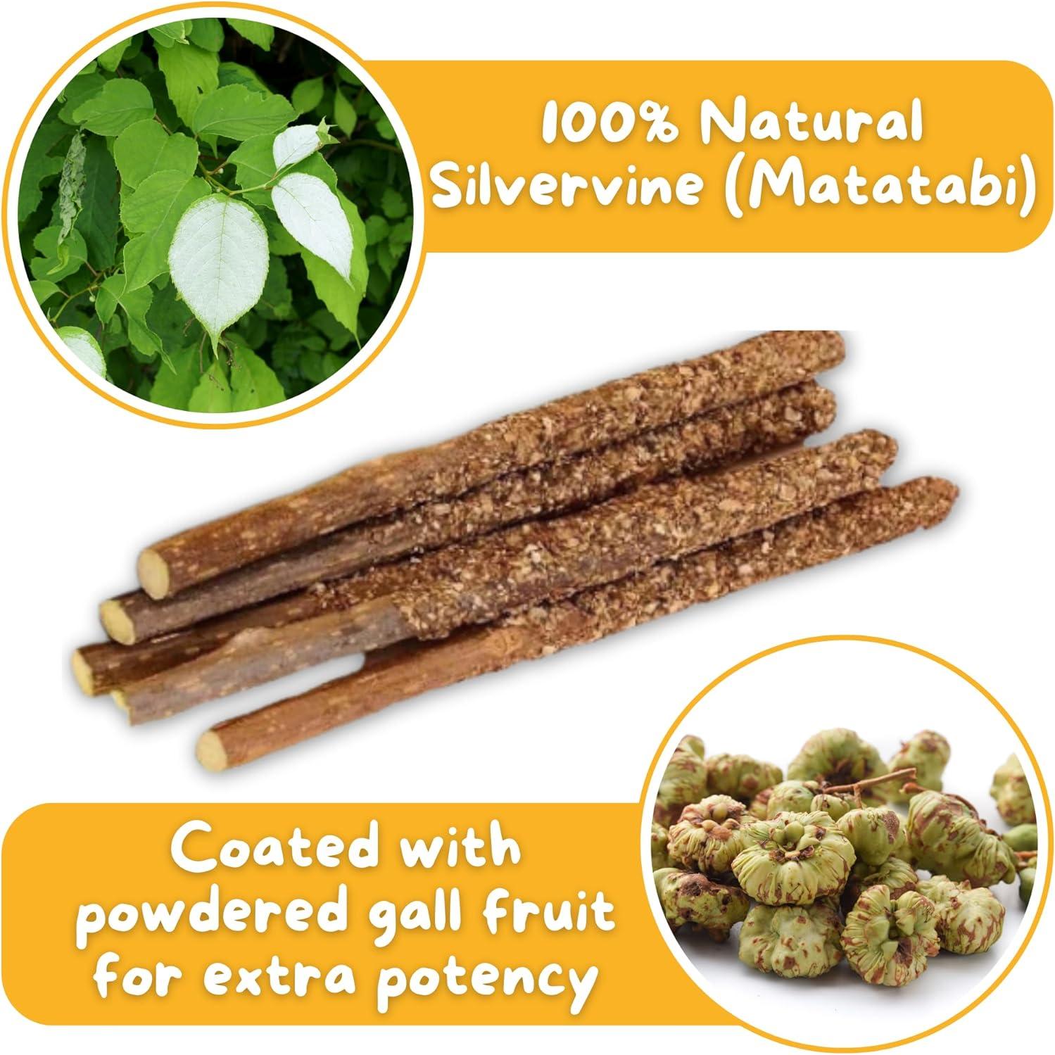 Palos de Silvervine Premium Hide & Scratch para Gatos - 12 Unidades