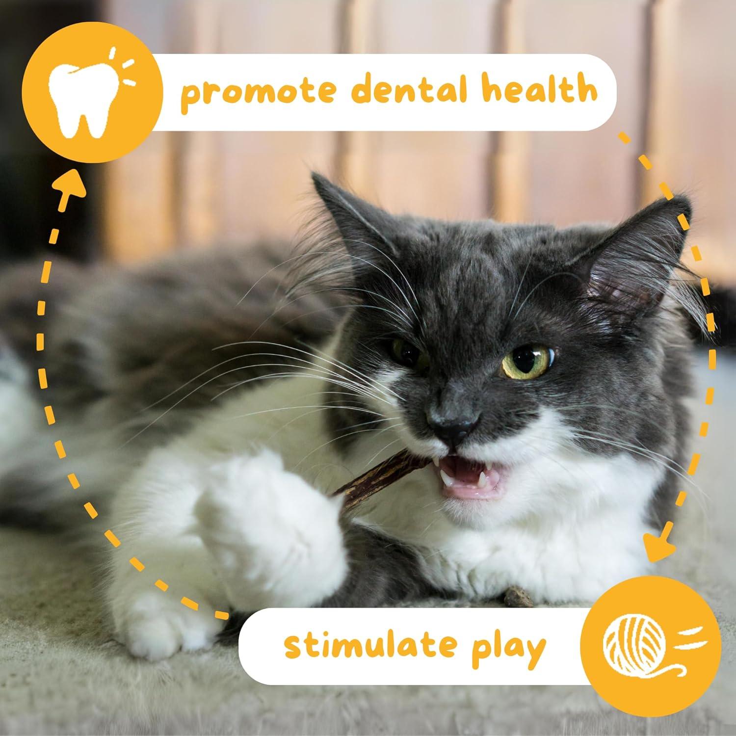 Palos de Silvervine Premium Hide & Scratch para Gatos - 12 Unidades