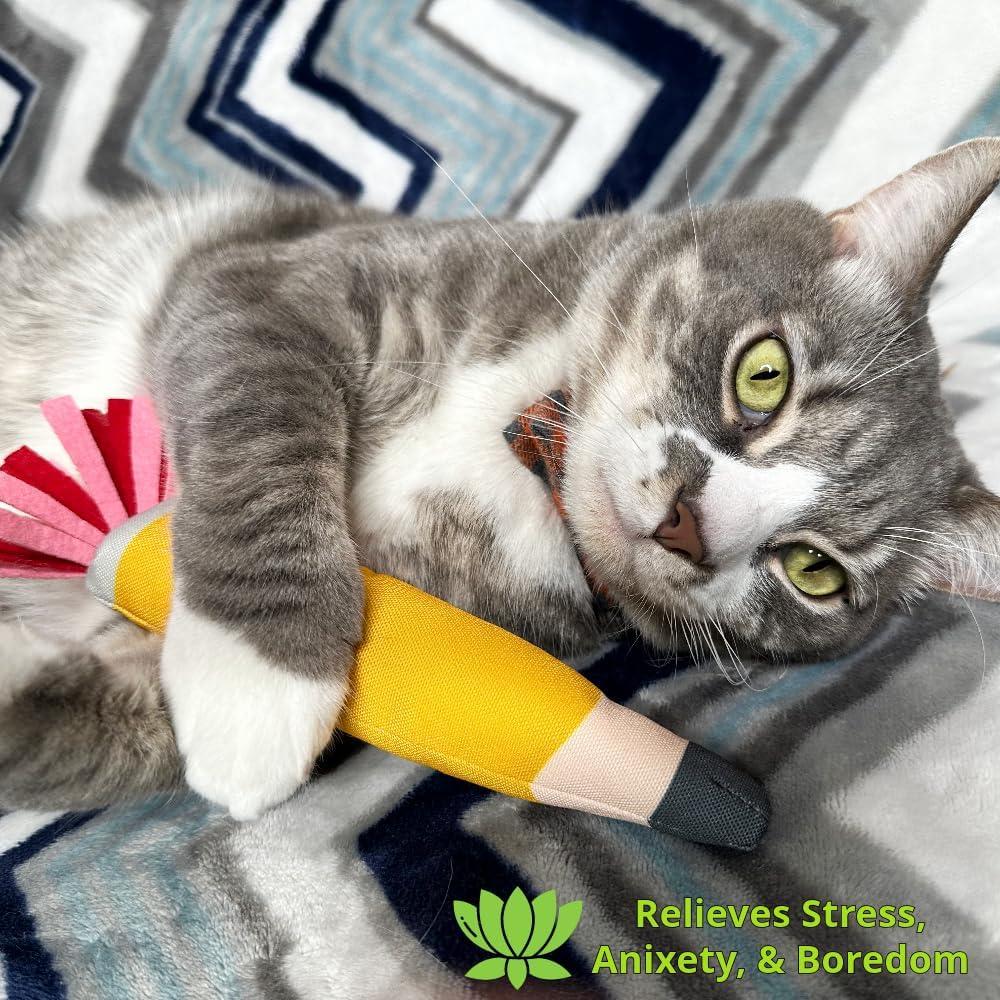 Juguete para Gato ToyGenics Lápiz con Hierba Gatera Orgánica