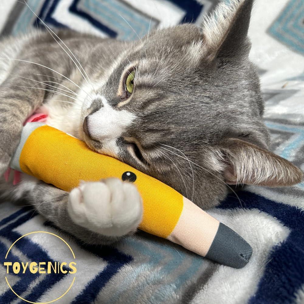 Juguete para Gato ToyGenics Lápiz con Hierba Gatera Orgánica