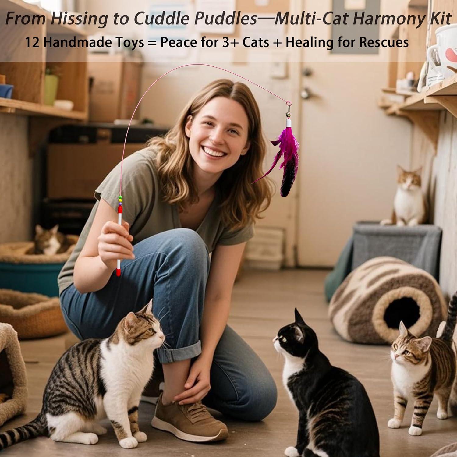 Kit de Juguetes para Gatos IMQUAFER - 12 Piezas Interactivas