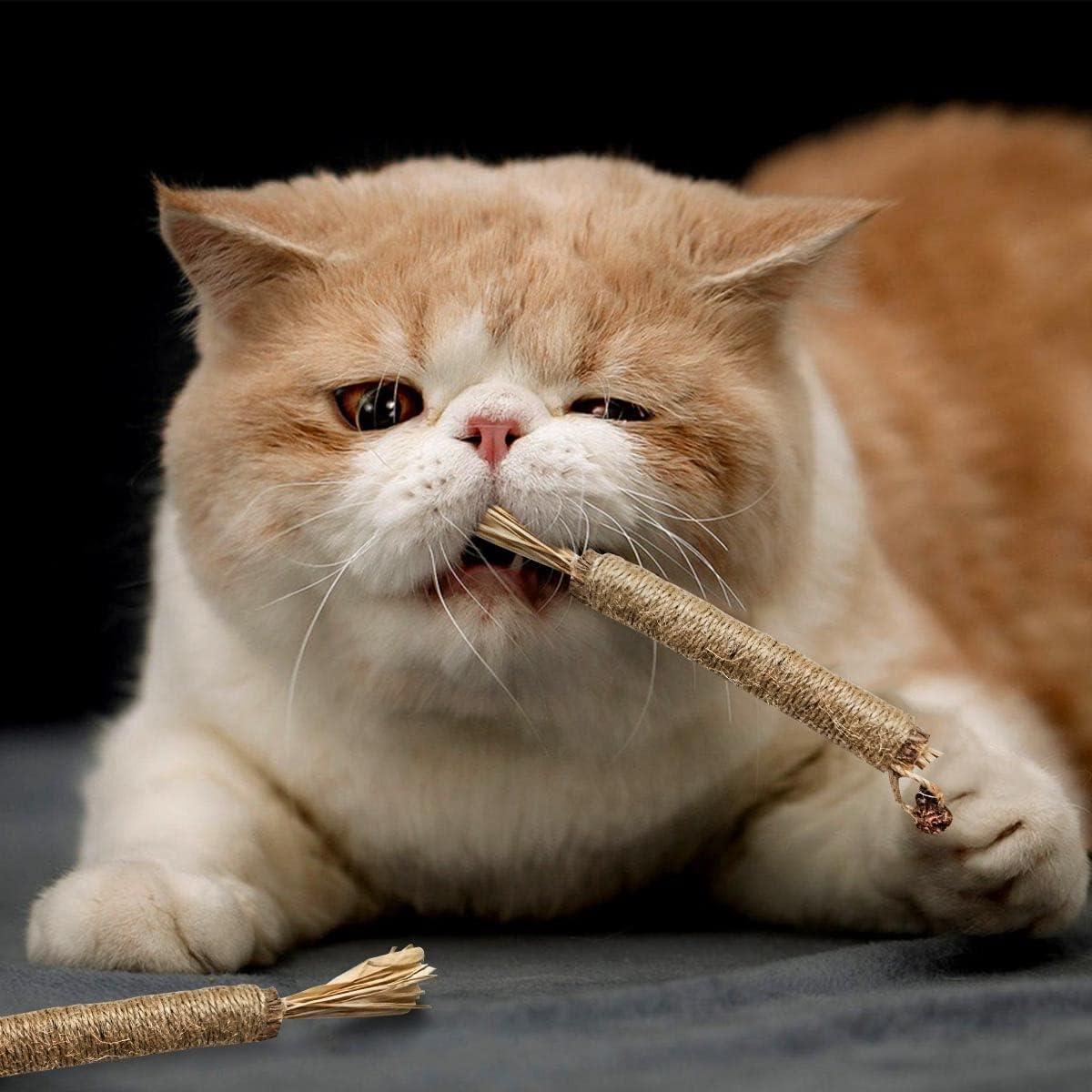 Paquete de 4 Palos de Silvervine Natural Yuntop para Gatos