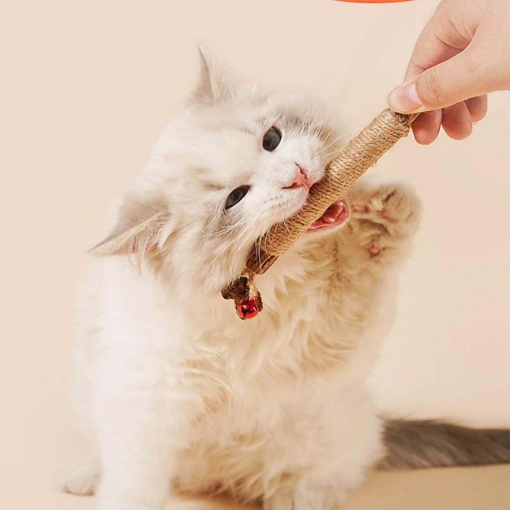 Palos Naturales de Silvervine para Gatos - 6 Pcs - Cuidado Dental