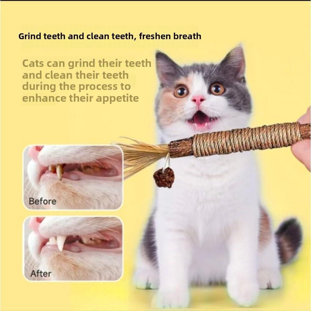 Palos Naturales de Silvervine para Gatos - 6 Pcs - Cuidado Dental