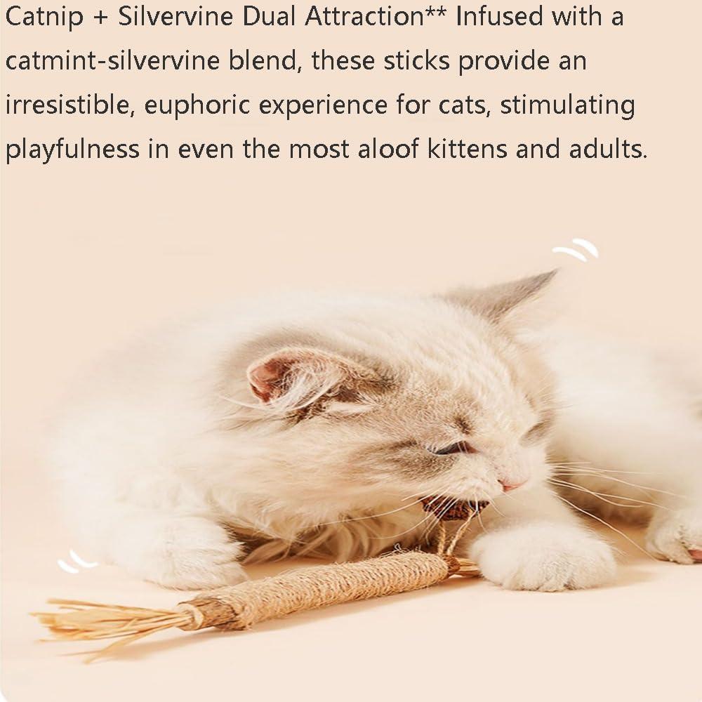 Palos Naturales de Silvervine para Gatos - 6 Pcs - Cuidado Dental