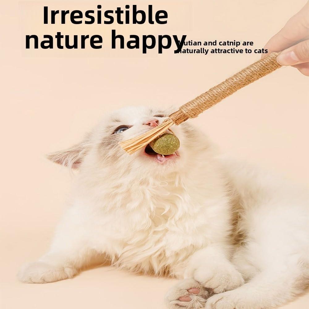 Palos Naturales de Silvervine para Gatos - 6 Pcs - Cuidado Dental