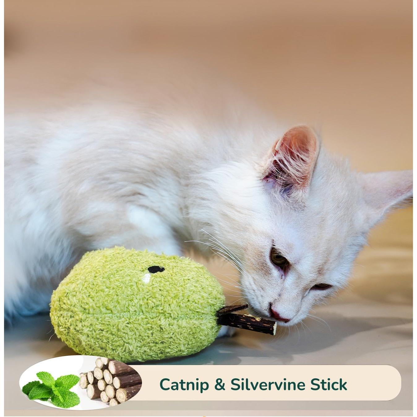 Juguete de palo para gatos Petelligent Verde - Masticable y Duradero