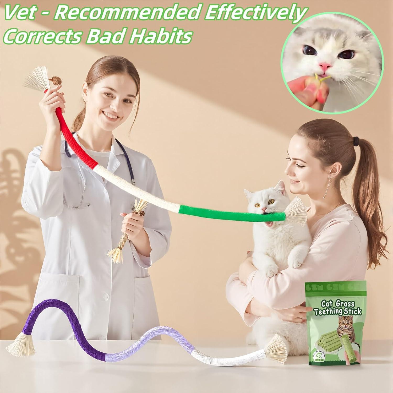 Juguetes para Gatos 12 Pack Catnip y Silvervine GREMBEB