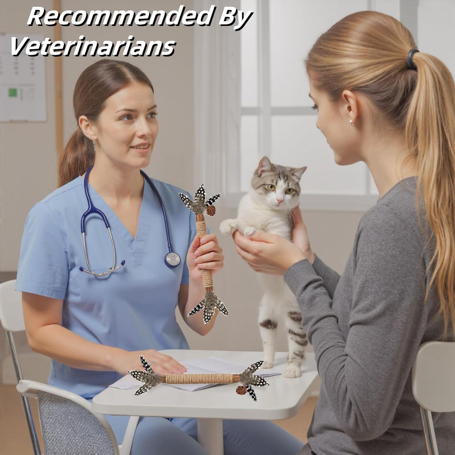 Juguetes para Gatos 12 Pack Catnip y Silvervine GREMBEB