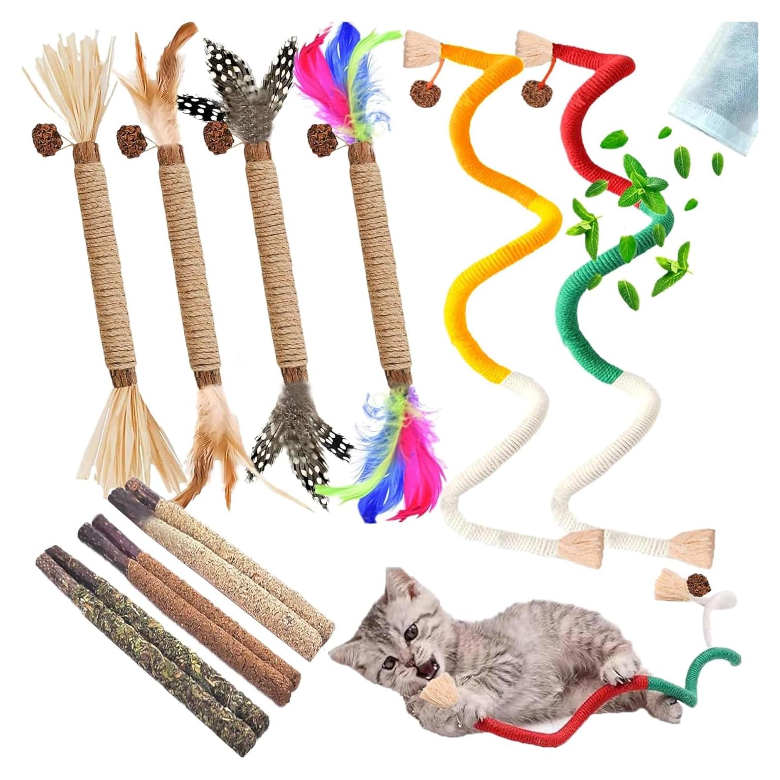 Juguetes Interactivos para Gatos NSWXZDS 12 Piezas Catnip