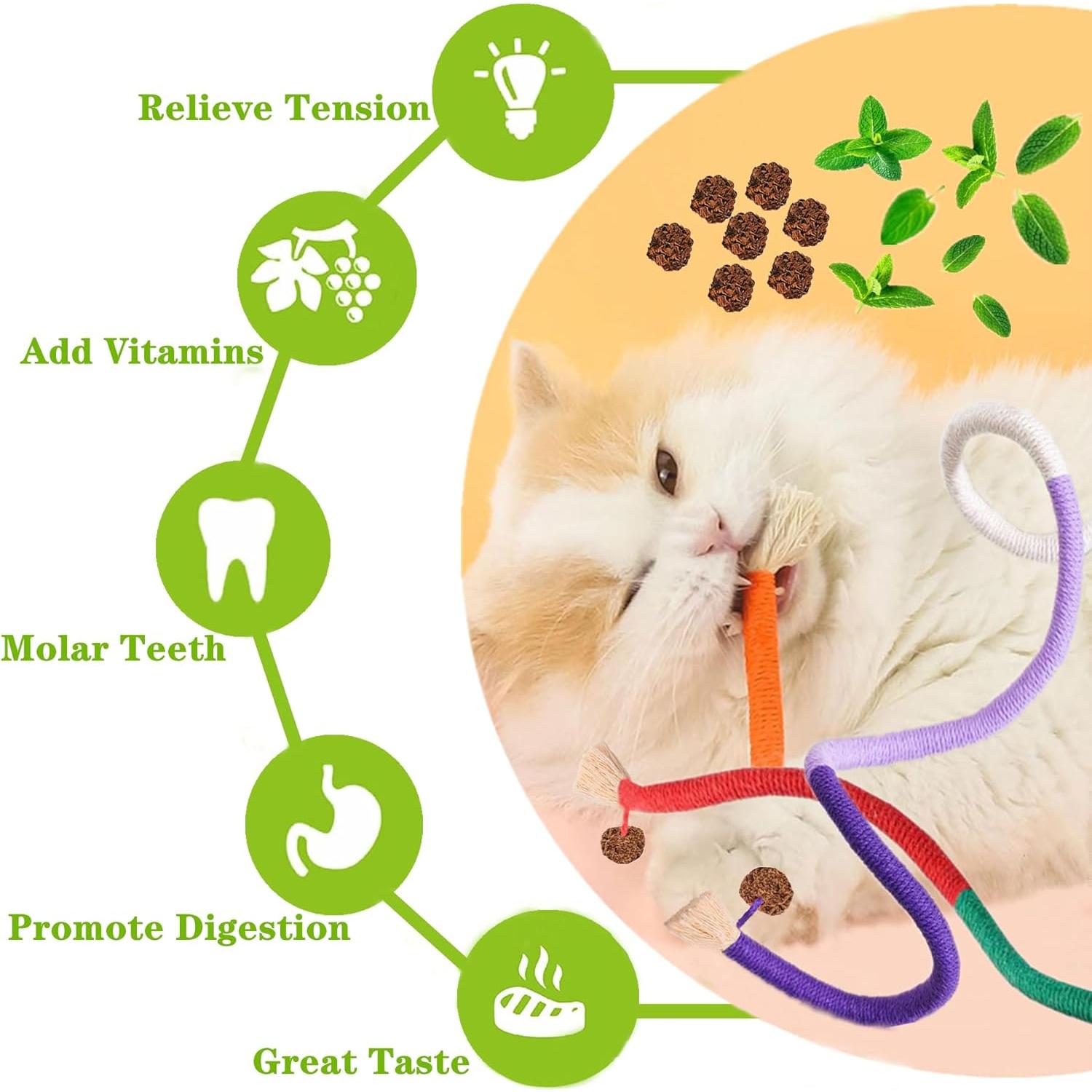 Juguetes Interactivos para Gatos NSWXZDS 12 Piezas Catnip