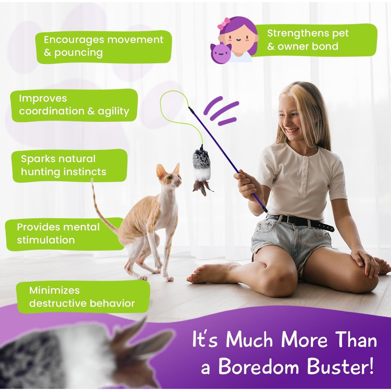 Varita Juguete Interactiva para Gatos Huihzou 40.64 cm Plumas