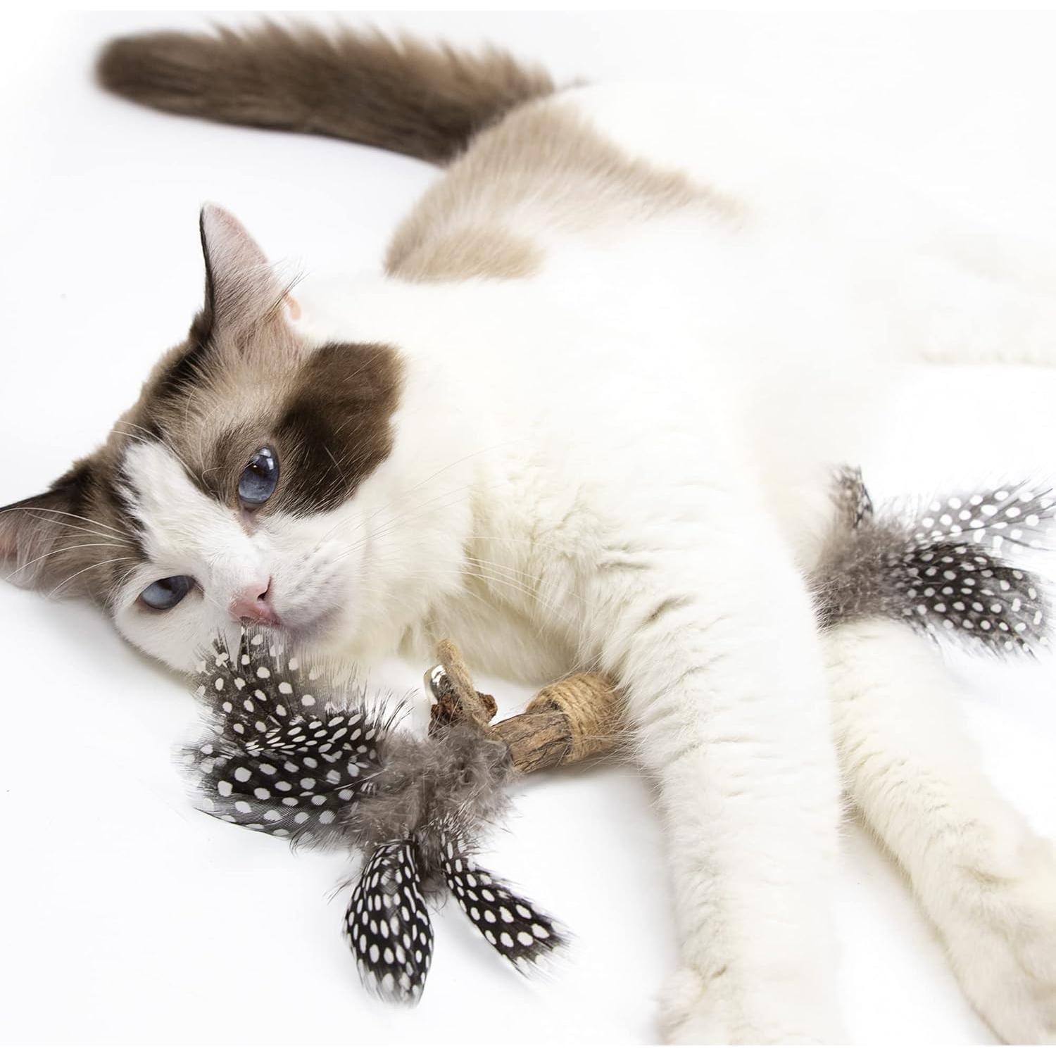 Juguete de Catnip Paz's Gift para Gatos - 2 Plumas Interactivas