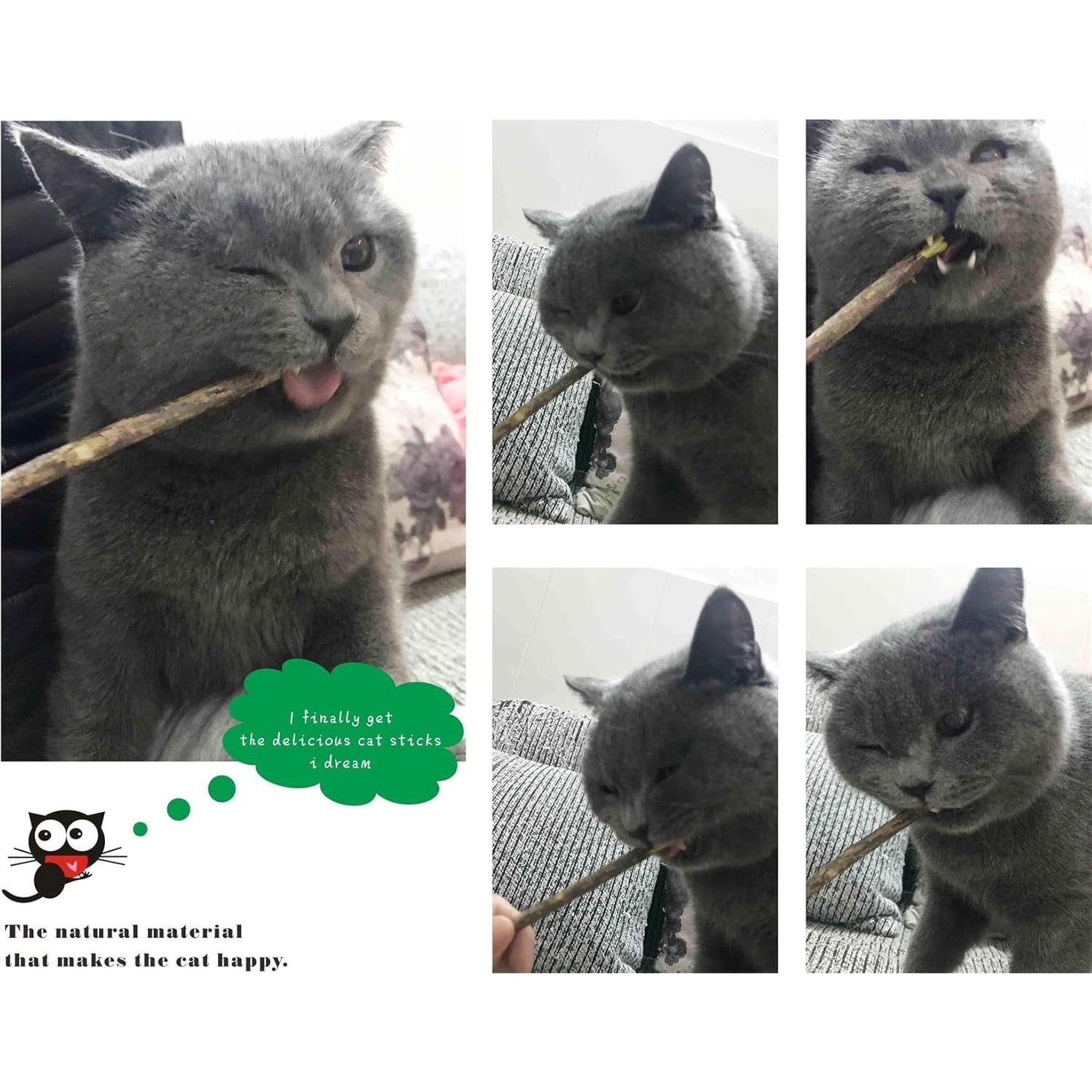 Palos de Masticar para Gatos CXP Good Goods - 26 Piezas