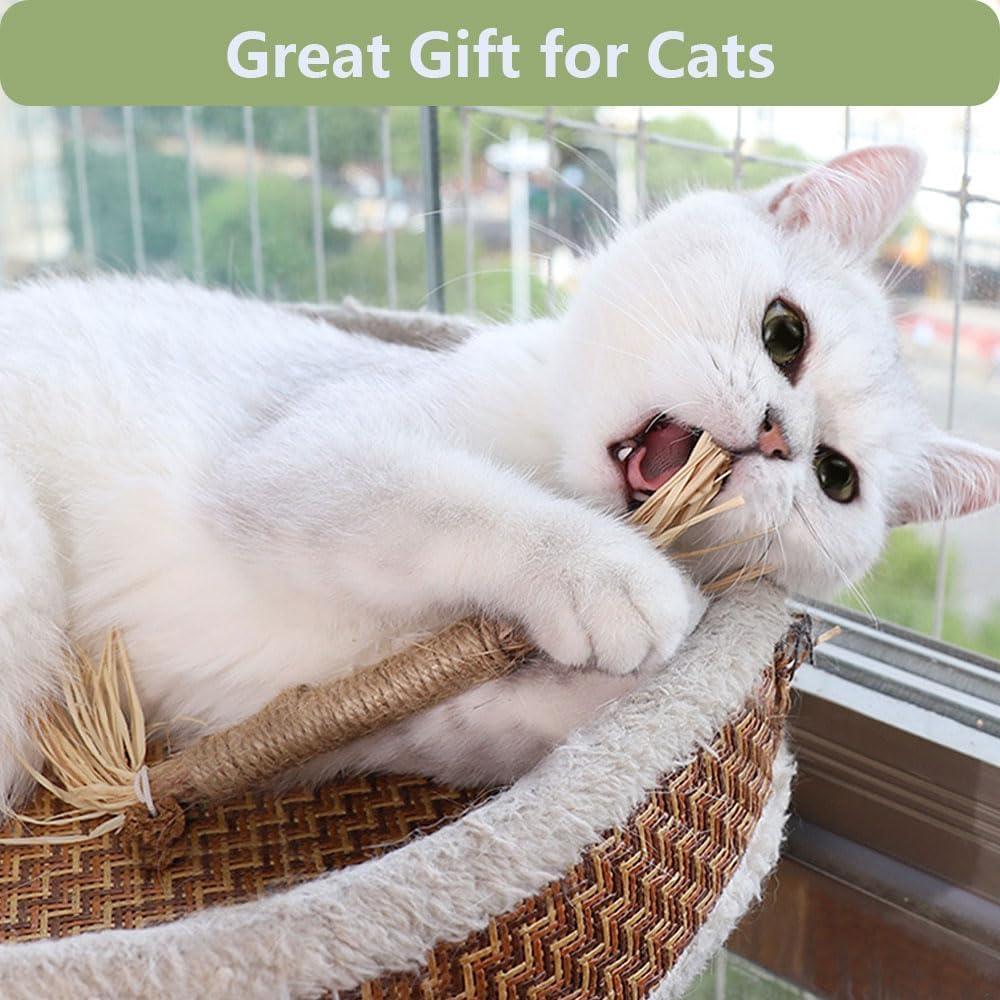 5 Palos de Silvervine para Gatos RELONGGI - Juguetes Naturales