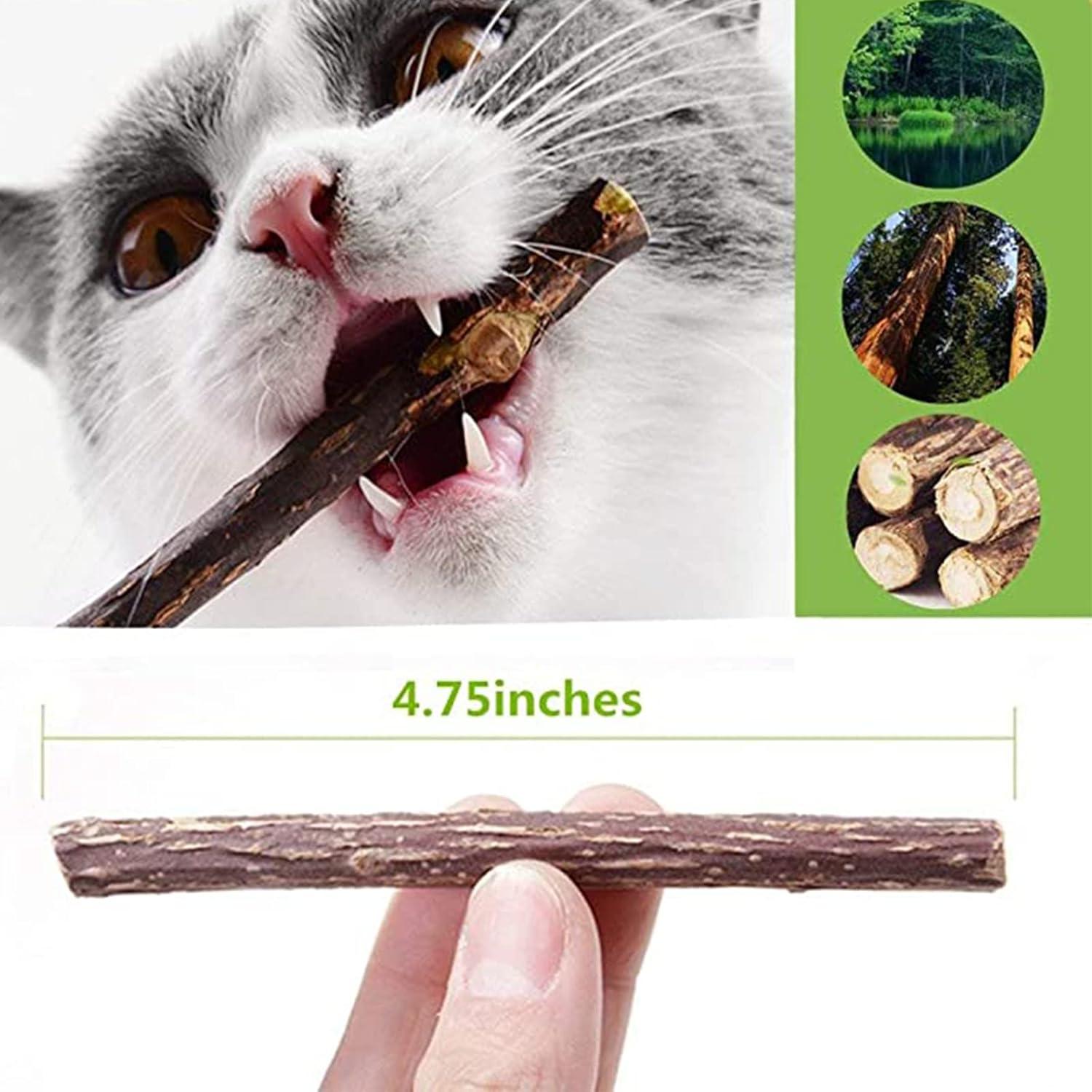 10 Palos de Catnip Orgánicos para Gatos Simona Micah