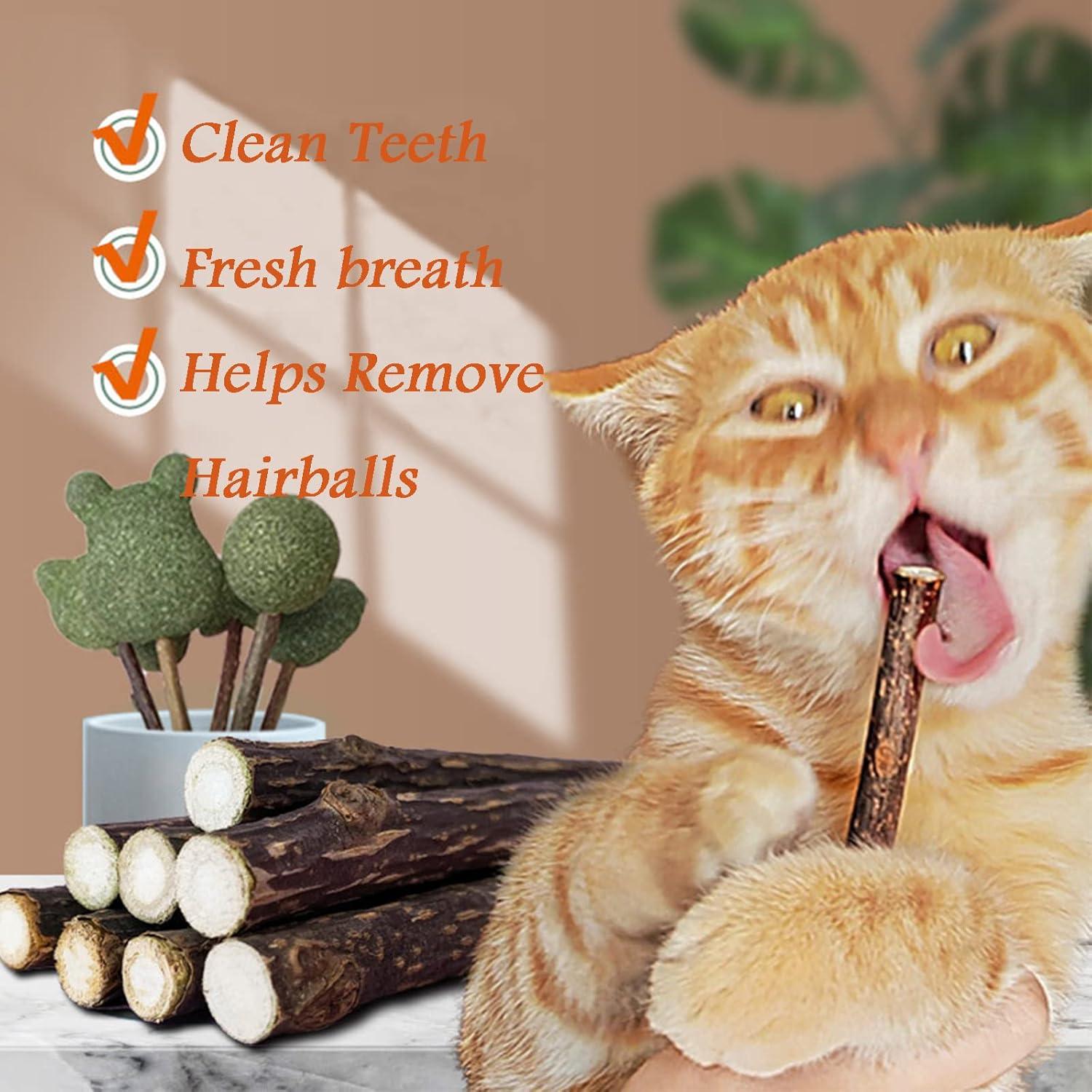 10 Palos de Catnip Orgánicos para Gatos Simona Micah
