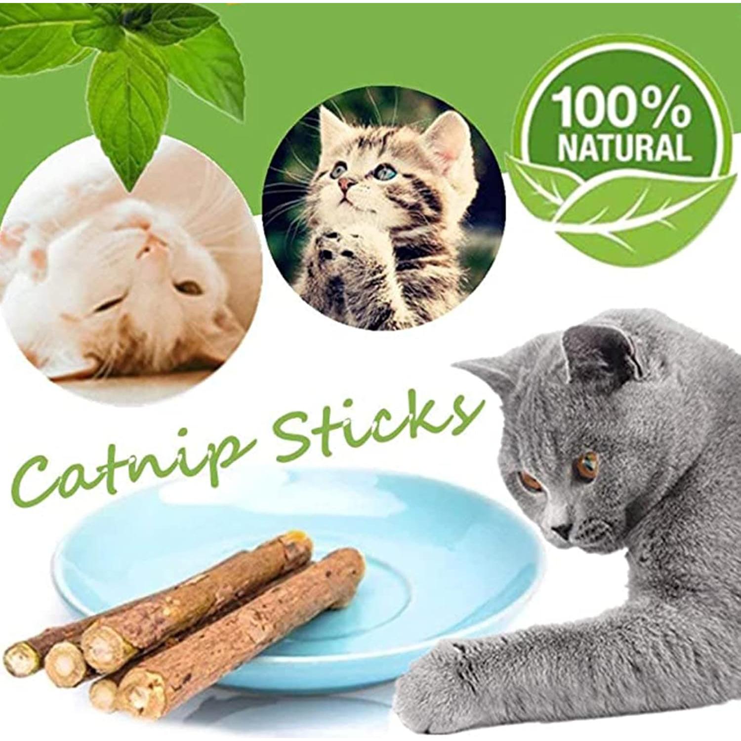 10 Palos de Catnip Orgánicos para Gatos Simona Micah