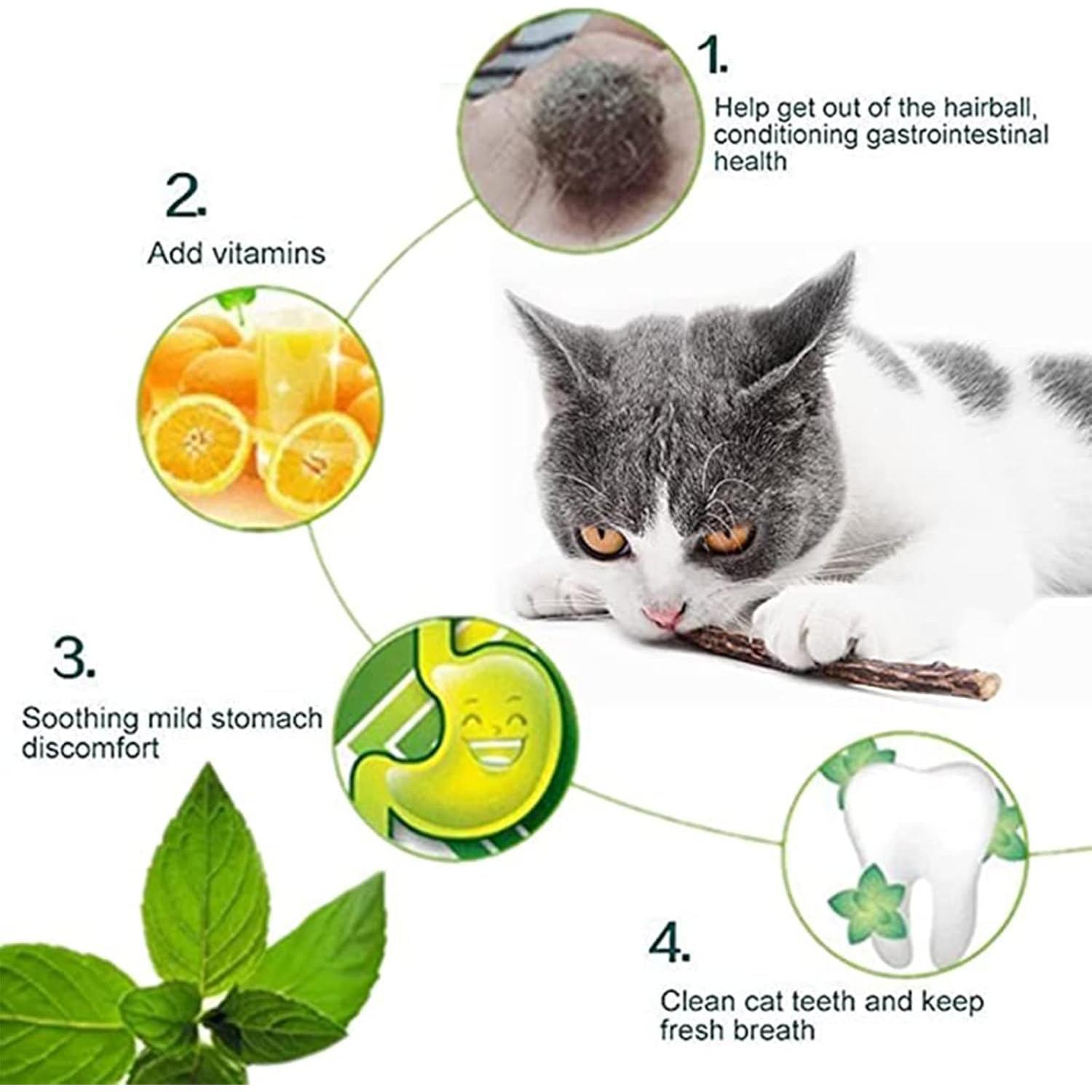 Palitos de Catnip Orgánicos Sim005 - 50 PCS para Gatos