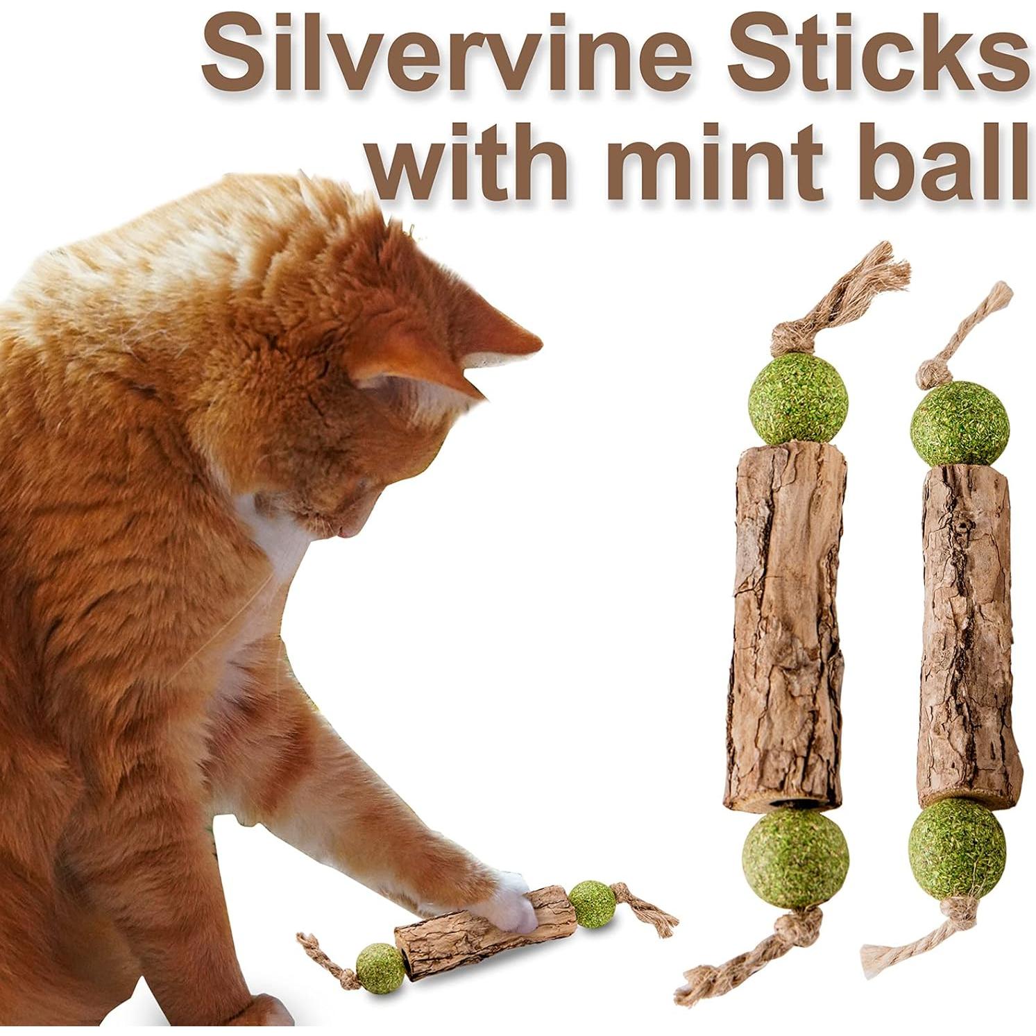 Juguetes de palo de Silvervine para gatos MIMIMOMO - Paquete de 5