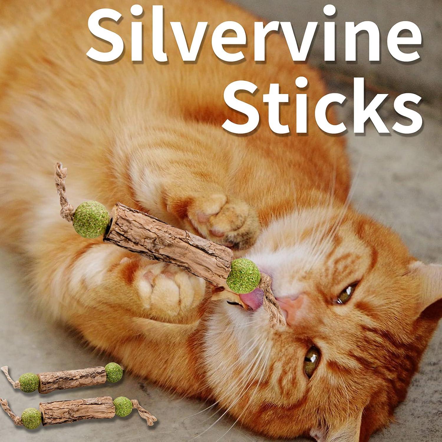 Juguetes de palo de Silvervine para gatos MIMIMOMO - Paquete de 5