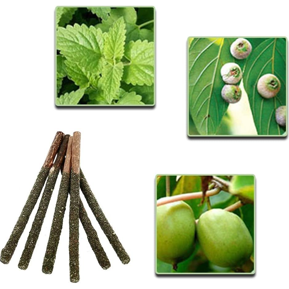 Palos de Menta para Gatos HZ-M - 6 Piezas Naturales