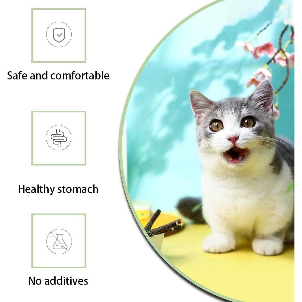 Palos de Menta para Gatos HZ-M - 6 Piezas Naturales