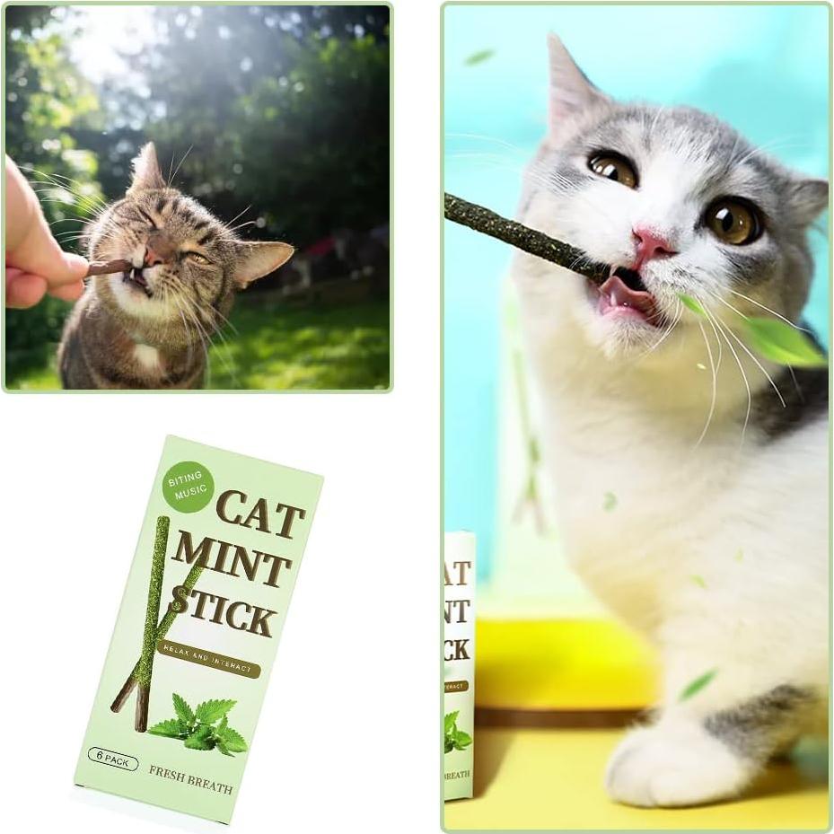Palos de Menta para Gatos HZ-M - 6 Piezas Naturales