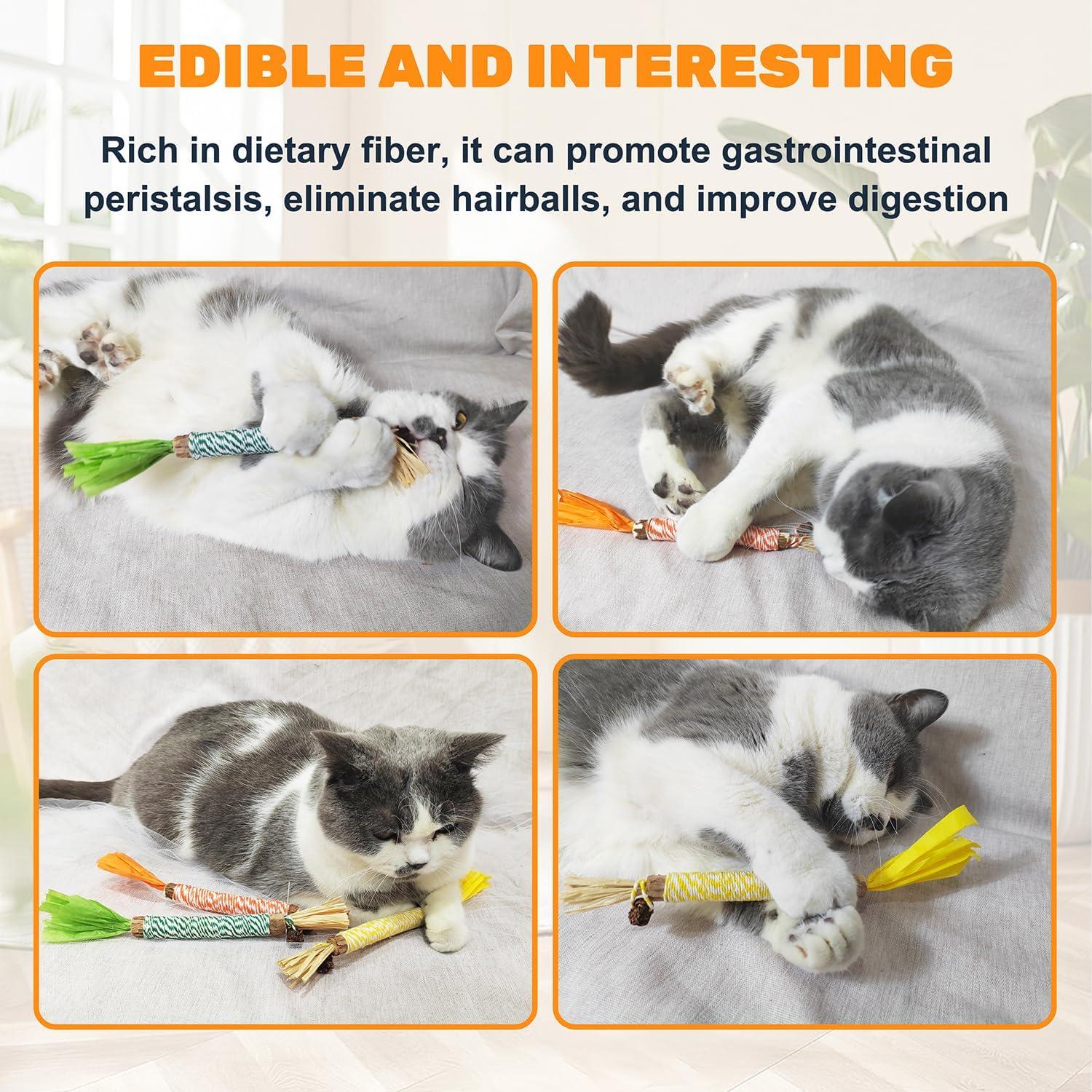 12 Juguetes de Masticar para Gatos Sysmashing - Silvervine Natural