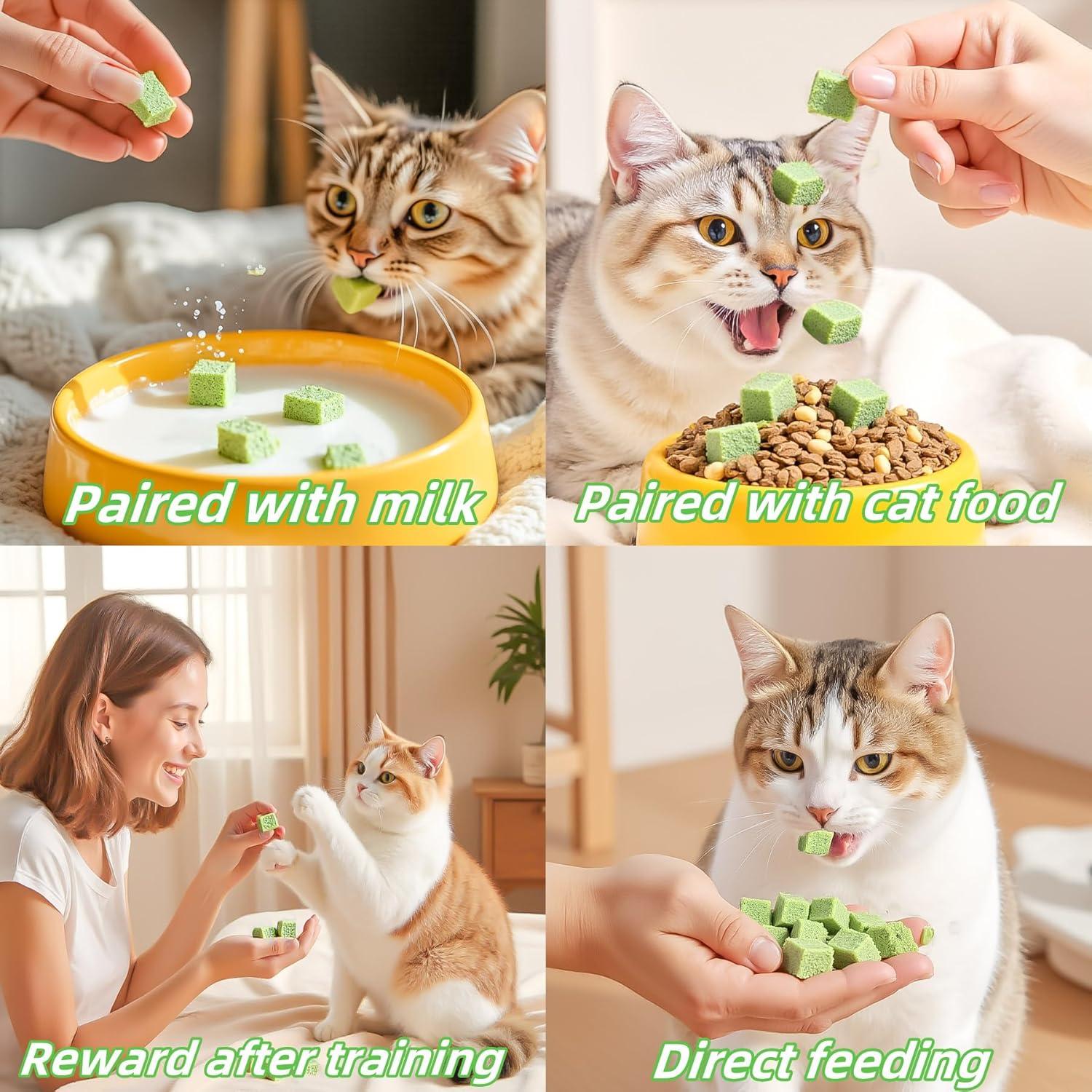 Palitos de Hierba para Gatos GREMBEB 60g - Snack Liofilizado