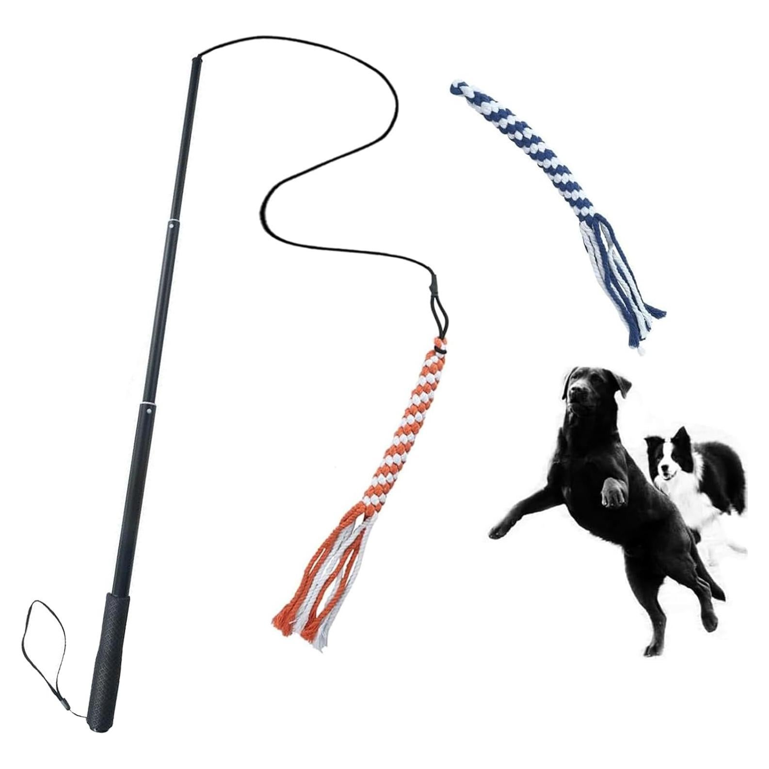 Juguete Interactivo para Perros ASOCEA Varita Extensible 88.9 cm