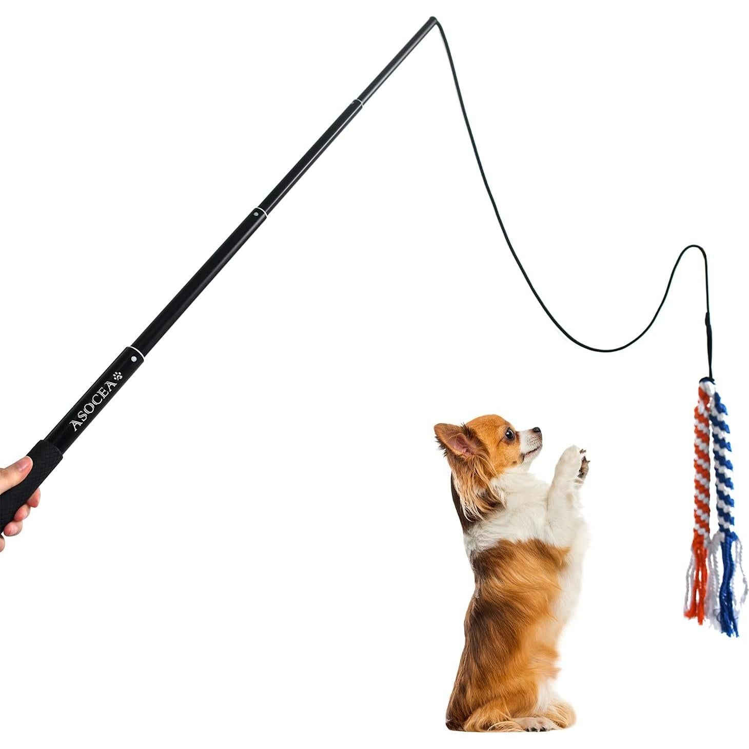Juguete Interactivo para Perros ASOCEA Varita Extensible 88.9 cm