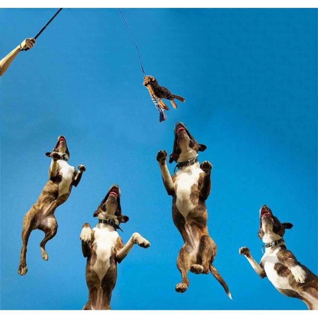 Juguete Interactivo para Perros ASOCEA Varita Extensible 88.9 cm