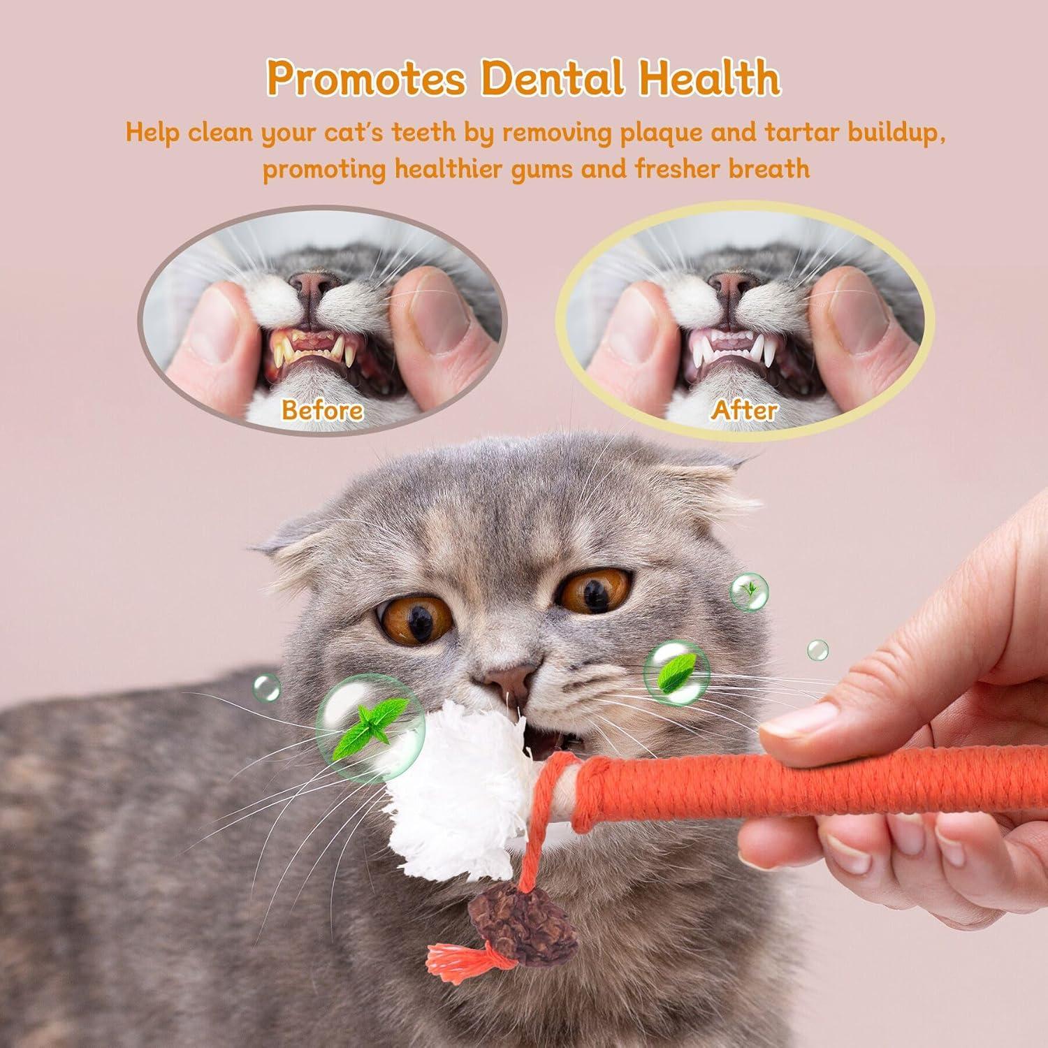 Juguetes Masticables para Gatos SEVENKA - 3 Pcs de 70cm