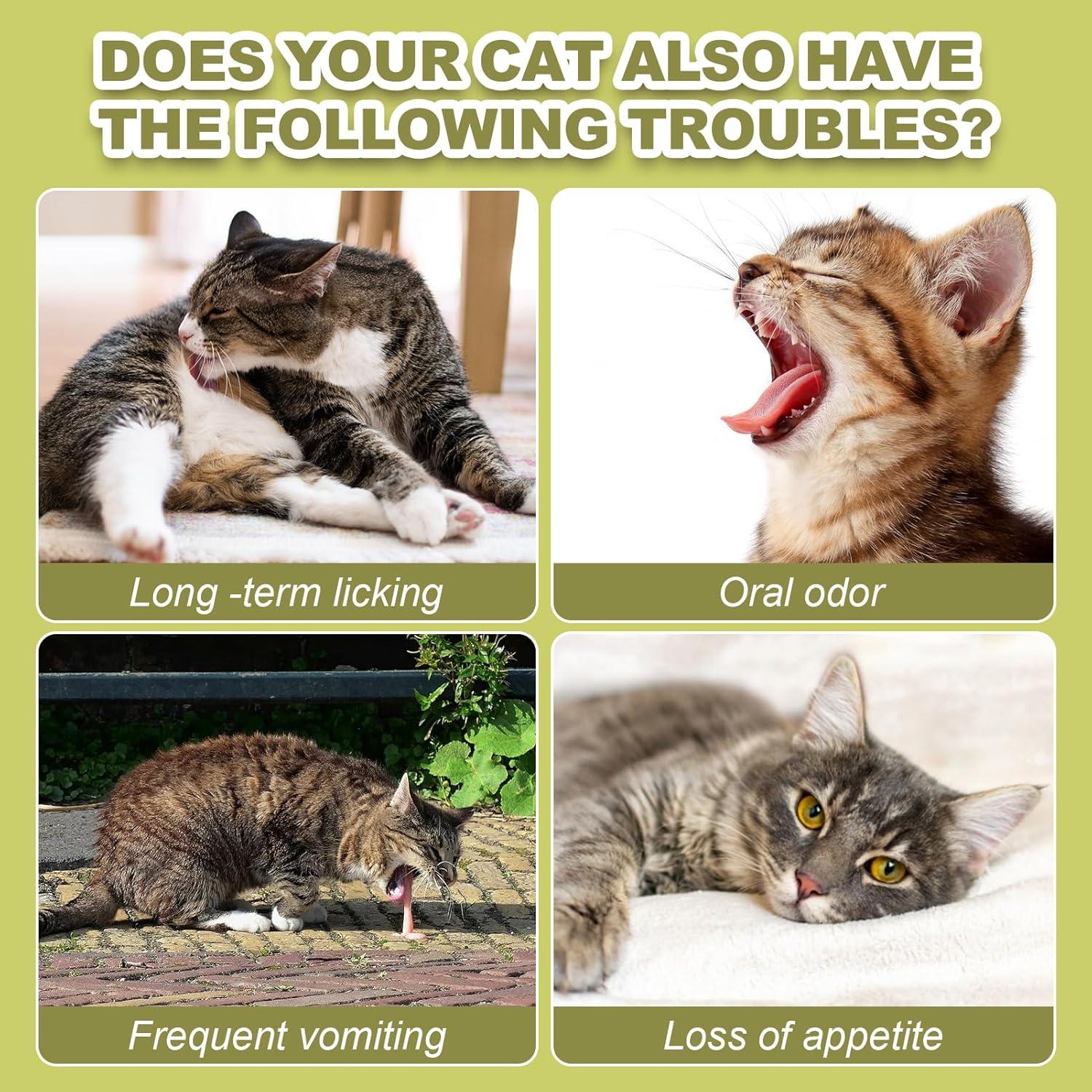 Palitos de hierba para gatos Cabaña de Dylan - 80g